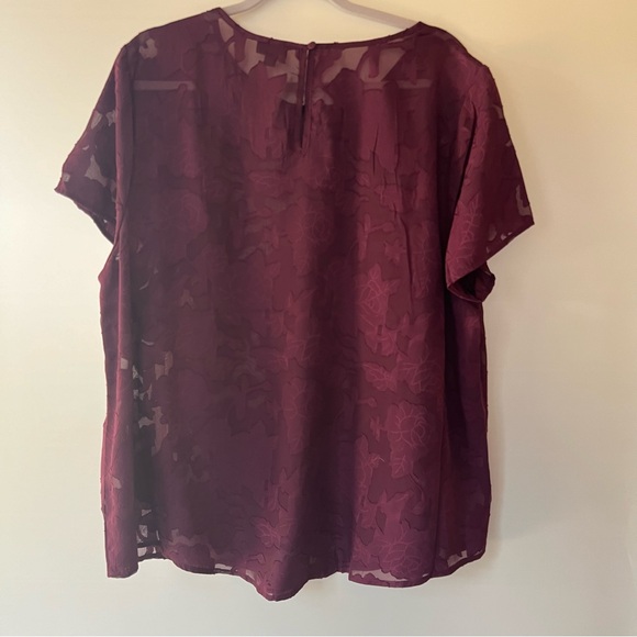 Torrid  sheer blouse short sleeves size 2x - Picture 4 of 5